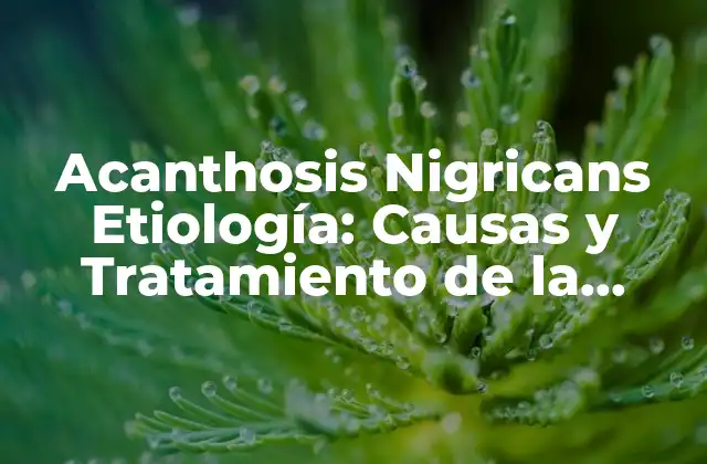 Acanthosis Nigricans Etiología: Causas y Tratamiento de la Enfermedad