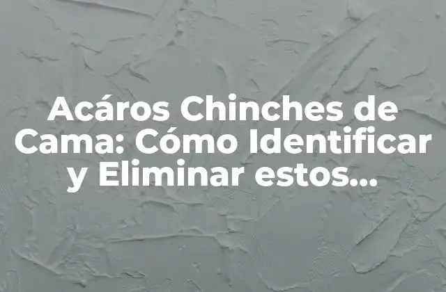 Acáros Chinches de Cama: Cómo Identificar y Eliminar Estos Indeseables Huéspedes