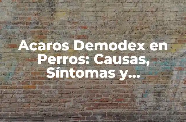 Acaros Demodex en Perros: Causas, Síntomas y Tratamiento