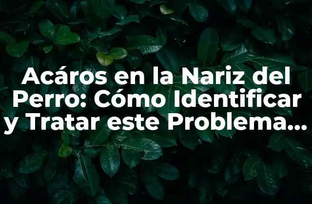 Acáros en la Nariz Del Perro: Cómo Identificar y Tratar Este Problema Común