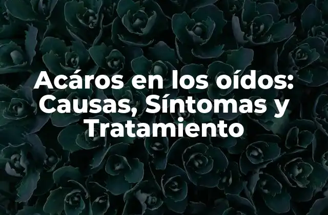 Acáros en los Oídos: Causas, Síntomas y Tratamiento 2 ¿Qué son los acáros en los oídos?