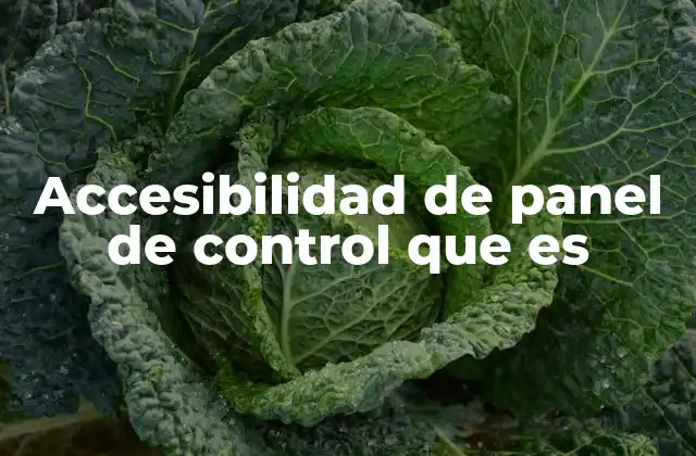 Cómo se logra una buena accesibilidad en los paneles de control