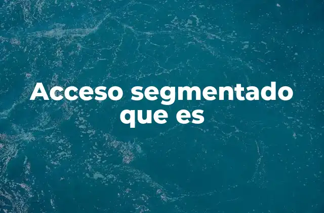 Acceso Segmentado que es