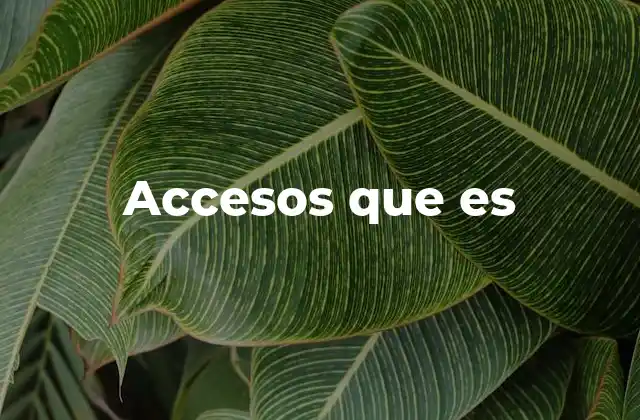 Accesos que es