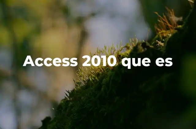 Entendiendo la importancia de las bases de datos en el entorno empresarial