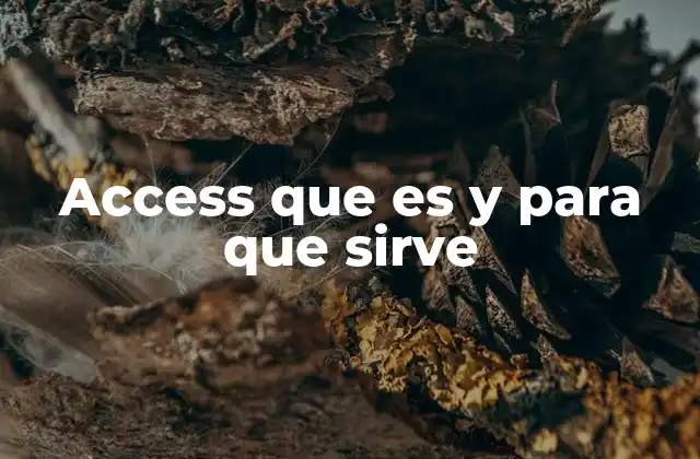 Access que es y para que Sirve