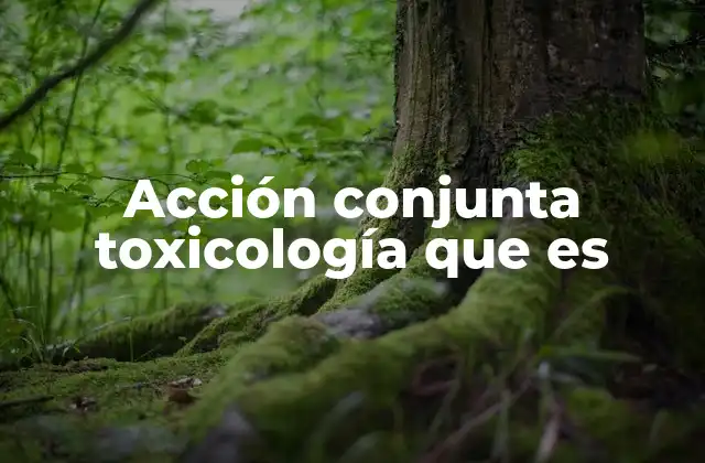 La importancia de evaluar efectos combinados en toxicología