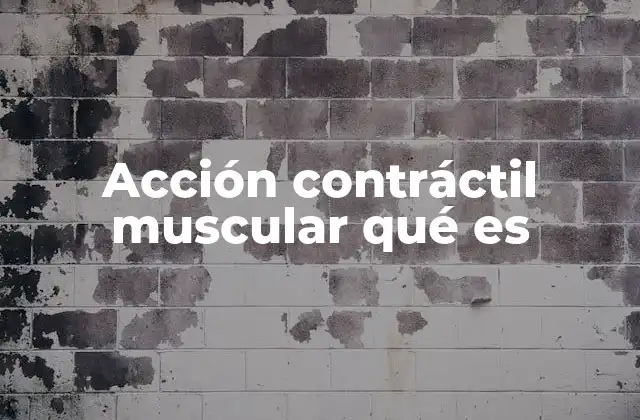 Acción Contráctil Muscular Qué es