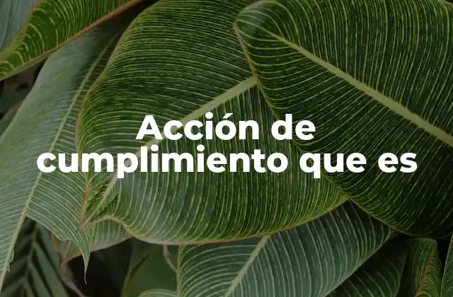 El rol de la acción de cumplimiento en el derecho contractual