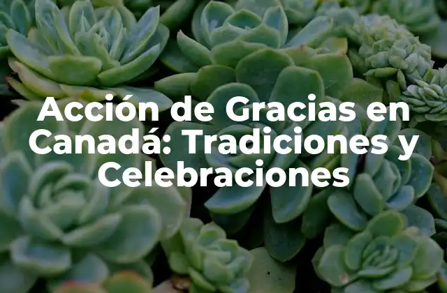 Acción de Gracias en Canadá: Tradiciones y Celebraciones