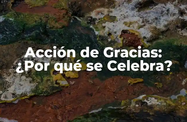Acción de Gracias: ¿por Qué Se Celebra?