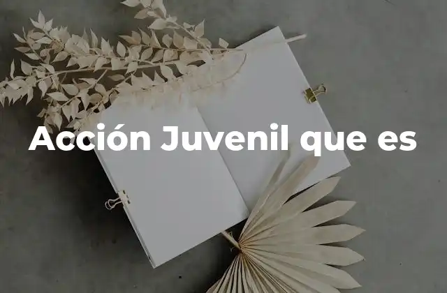 Acción Juvenil que es
