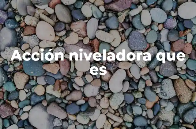 Acción Niveladora que es