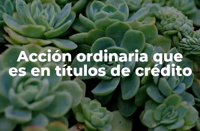 Acción Ordinaria que es en Títulos de Crédito