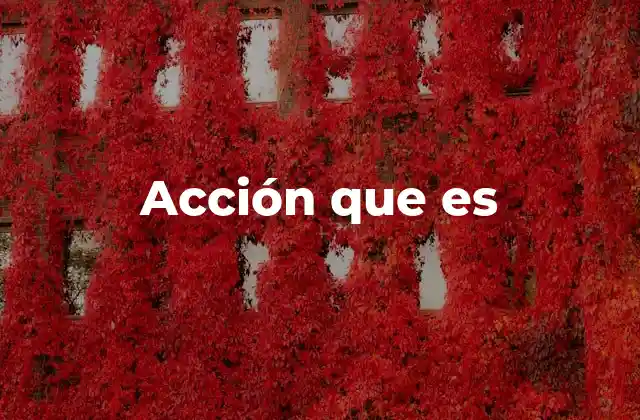 Acción que es
