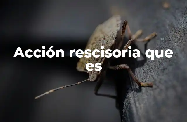 Acción Rescisoria que es