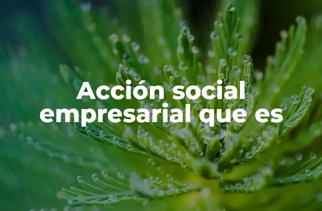 Acción Social Empresarial que es