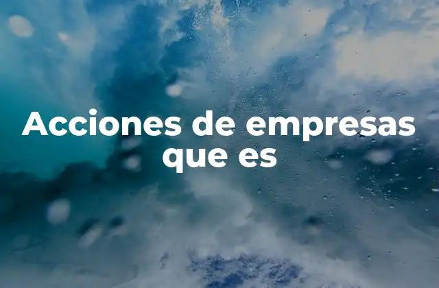 Acciones de Empresas que es