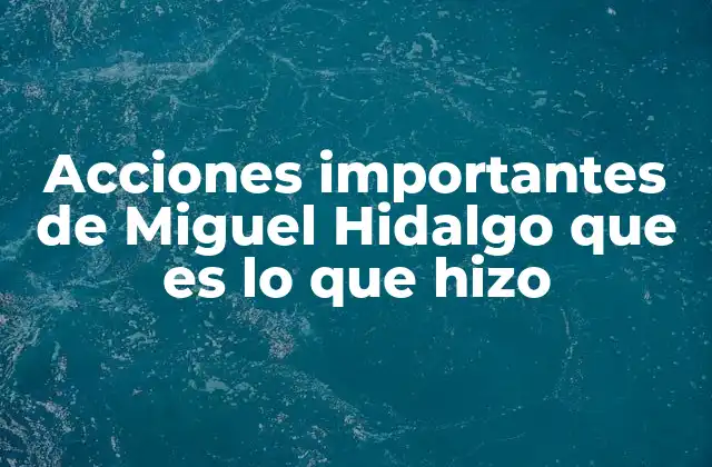 Acciones Importantes de Miguel Hidalgo que es Lo que Hizo