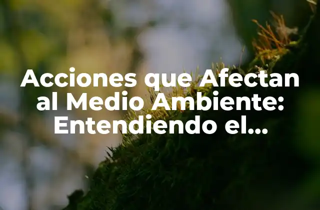 Acciones que Afectan Al Medio Ambiente: Entendiendo el Impacto Humano en el Planeta