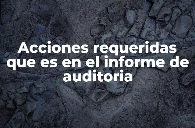 Acciones Requeridas que es en el Informe de Auditoria 2 El rol de las acciones requeridas en la gestión de riesgos