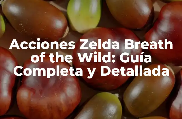 Acciones Zelda Breath Of The Wild: Guía Completa y Detallada