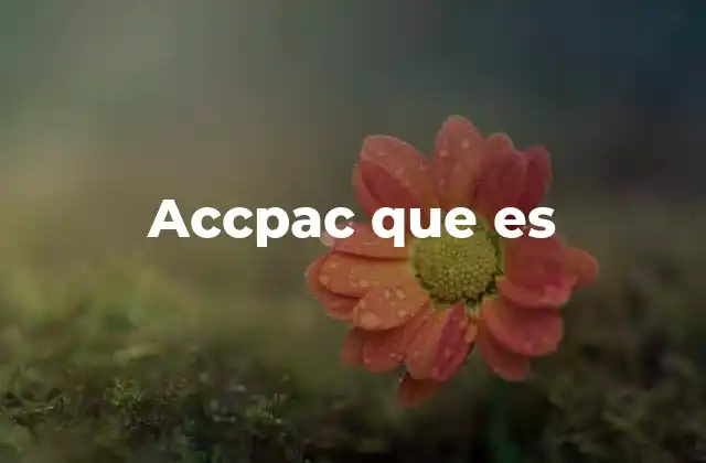 Accpac que es