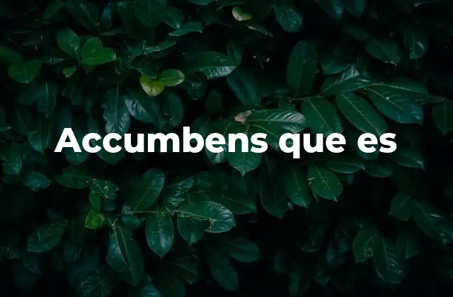 Accumbens que es
