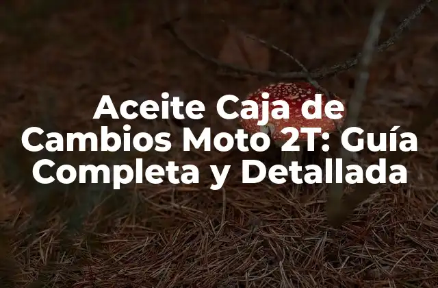 Aceite Caja de Cambios Moto 2t: Guía Completa y Detallada