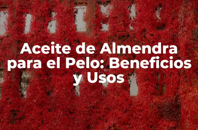 Aceite de Almendra para el Pelo: Beneficios y Usos