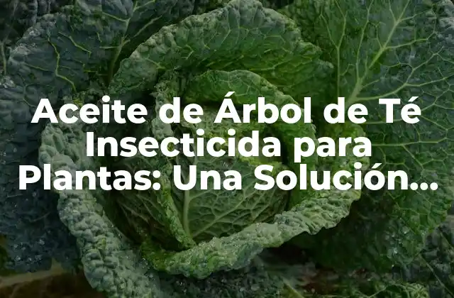 ¿Qué es el Aceite de Árbol de Té Insecticida?