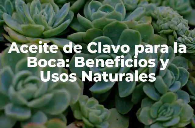 Aceite de Clavo para la Boca: Beneficios y Usos Naturales 2 Propiedades del Aceite de Clavo