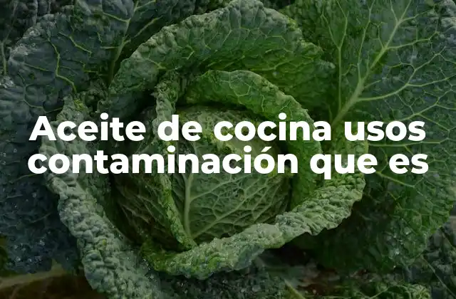 Aceite de Cocina Usos Contaminación que es