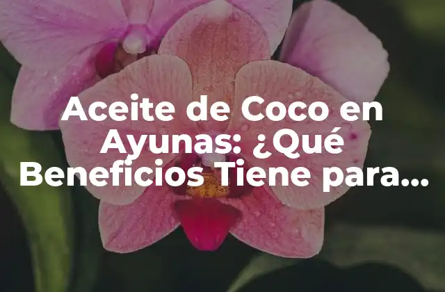 Aceite de Coco en Ayunas: ¿qué Beneficios Tiene para Tu Salud?