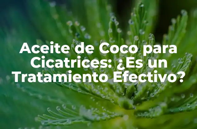 ¿Qué son las Cicatrices y Cómo se Forman?