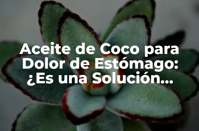 Aceite de Coco para Dolor de Estómago: ¿es una Solución Natural Viable?