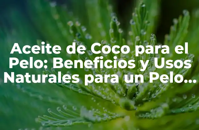 Aceite de Coco para el Pelo: Beneficios y Usos Naturales para un Pelo Saludable