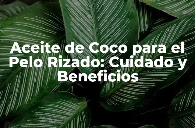 Aceite de Coco para el Pelo Rizado: Cuidado y Beneficios