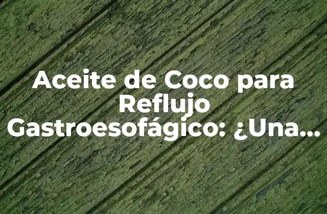 ¿Qué es el Aceite de Coco y Cómo Funciona?