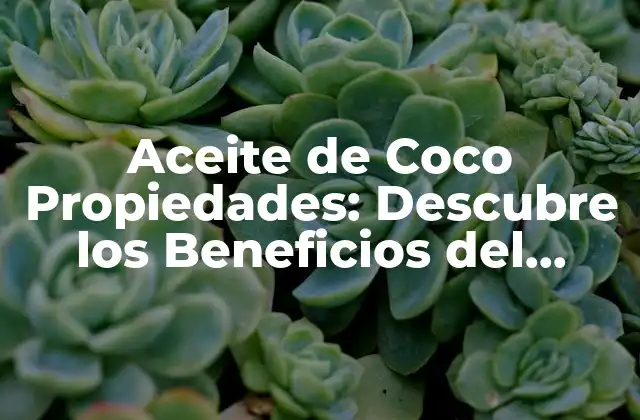 Aceite de Coco Propiedades: Descubre los Beneficios Del Aceite de Coco