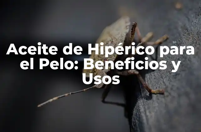 Aceite de Hipérico para el Pelo: Beneficios y Usos