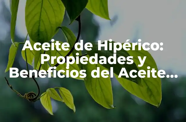 Aceite de Hipérico: Propiedades y Beneficios Del Aceite Esencial de la Hierba de San Juan