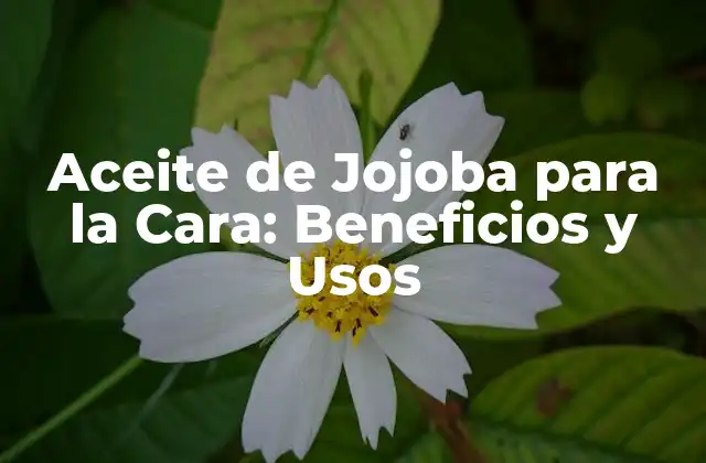 Aceite de Jojoba para la Cara: Beneficios y Usos