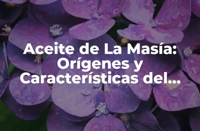 Aceite de la Masía: Orígenes y Características Del Aceite de Oliva de Alta Calidad 2 ¿Dónde se produce el Aceite de La Masía?