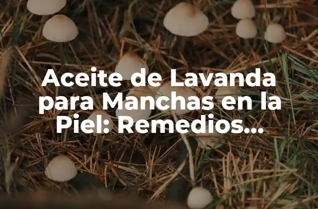 Aceite de Lavanda para Manchas en la Piel: Remedios Naturales y Beneficios