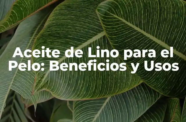 Aceite de Lino para el Pelo: Beneficios y Usos 2 ¿Qué es el Aceite de Lino?
