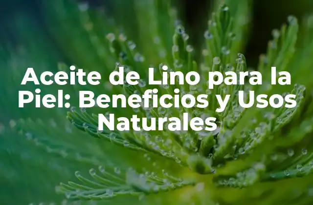 Aceite de Lino para la Piel: Beneficios y Usos Naturales