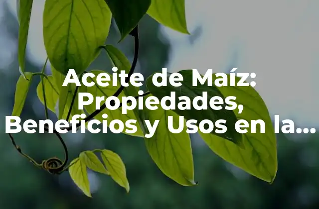 Aceite de Maíz: Propiedades, Beneficios y Usos en la Cocina