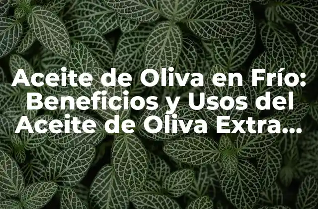 Aceite de Oliva en Frío: Beneficios y Usos Del Aceite de Oliva Extra Virgen de Primera Presión