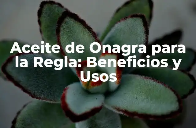 ¿Qué es el Aceite de Onagra?
